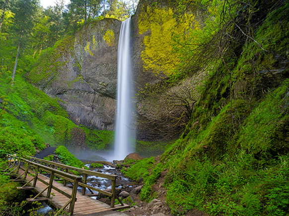 Discover Portland - Photo
